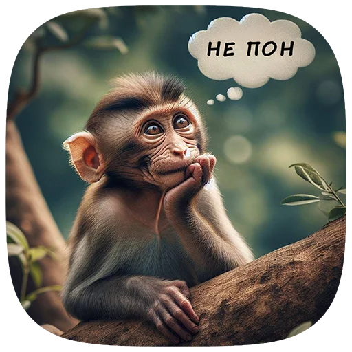 Sticker 005