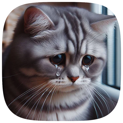 Sticker 028