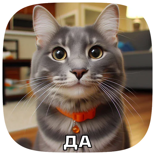 Sticker 029