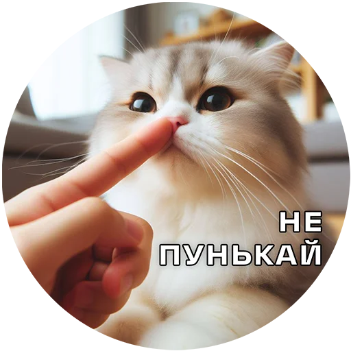 Sticker 033