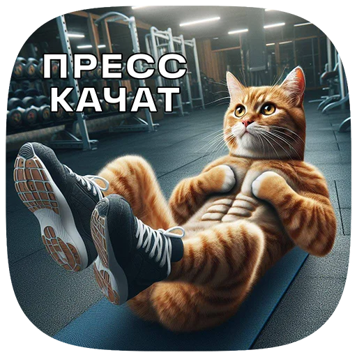 Sticker 036
