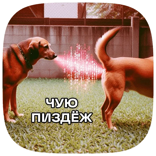 Sticker 093