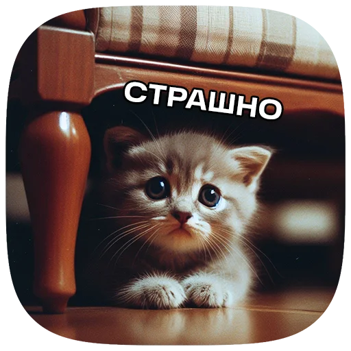 Sticker 098