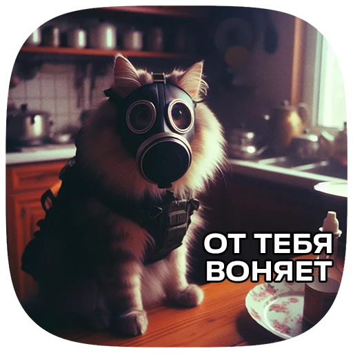Стикер 113