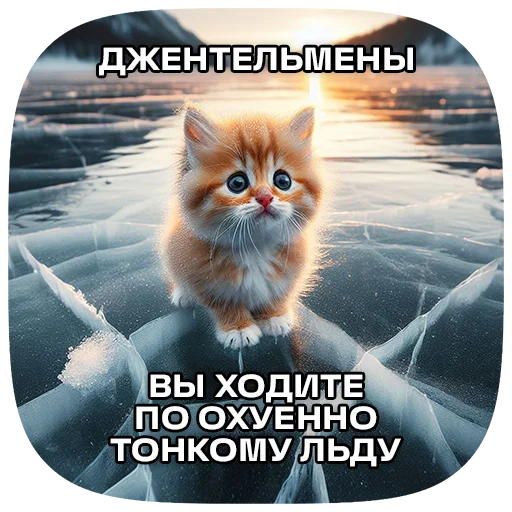 Sticker 115