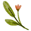 Emoji 017