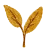 Emoji 040