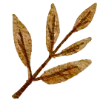 Emoji 044