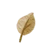 Emoji 050