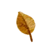 Emoji 051