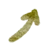 Emoji 052