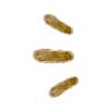Emoji 059