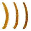 Эмодзи 073