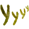 Эмодзи 102