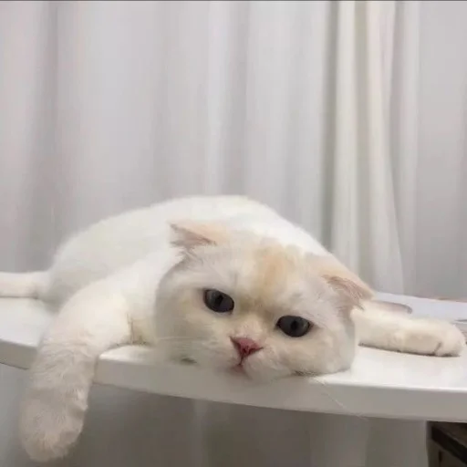 Стикер 051
