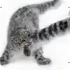 Эмодзи 004
