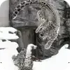 Эмодзи 008