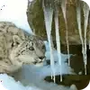 Эмодзи 033