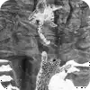 Эмодзи 040
