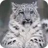 Эмодзи 049