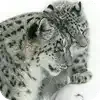 Emoji 059