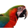 Emoji 001