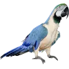 Emoji 002