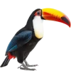 Emoji 003
