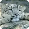 Emoji 061