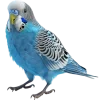 Emoji 008