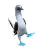 Emoji 010