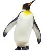 Эмодзи 011