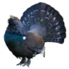 Эмодзи 014