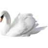 Emoji 015
