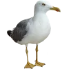 Emoji 016