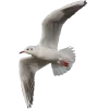 Emoji 018