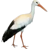Emoji 019