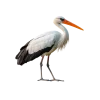 Эмодзи 021