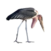 Emoji 022