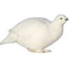 Emoji 025
