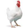 Emoji 026
