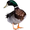 Emoji 028