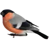 Эмодзи 038