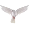 Эмодзи 042