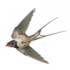 Эмодзи 049