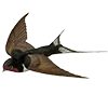 Эмодзи 050