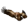 Эмодзи 052