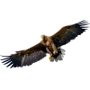Эмодзи 053