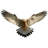 Эмодзи 056