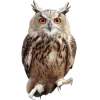 Emoji 066
